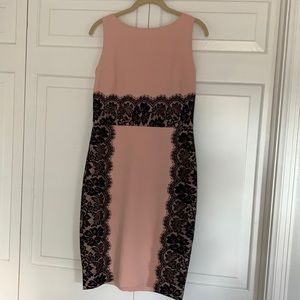 NWOT Limited Dress Blush Pink with Black Lace